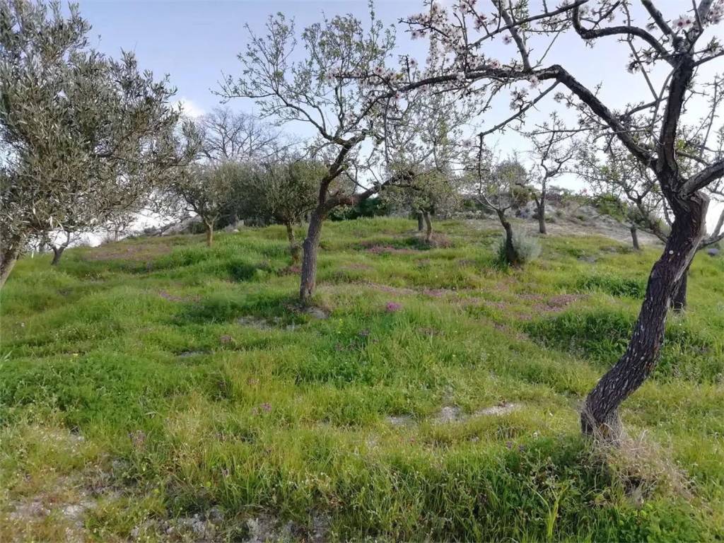 Terreno a San cataldo in Strada Provinciale 33 - Foto 4
