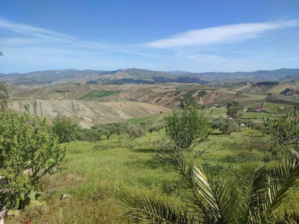 Terreno a Caltanissetta in Contrada Cammarella S.N.C. - Foto 2
