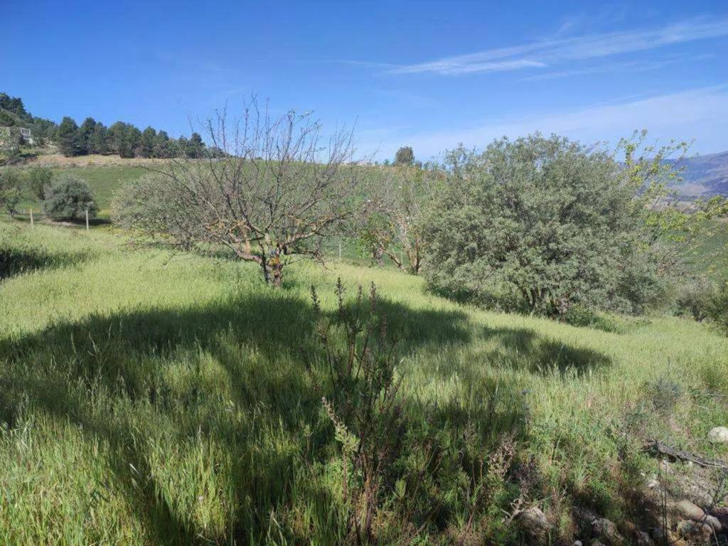 Terreno a Caltanissetta in Contrada Cammarella S.N.C. - Foto 4