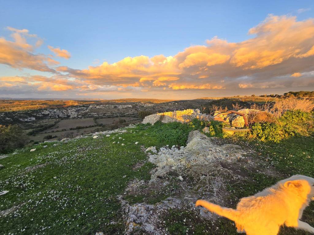 Rustico / casale a Noto - Foto 4
