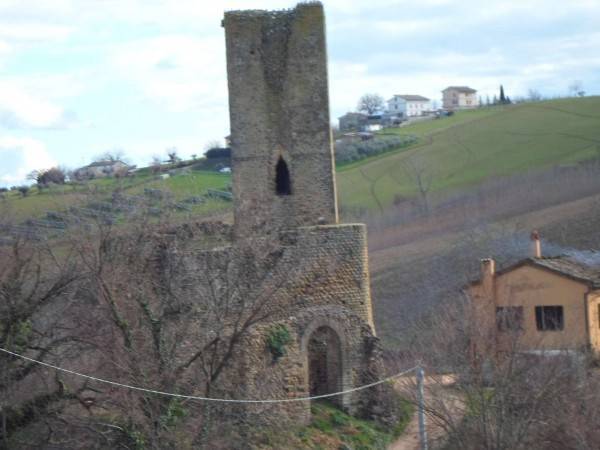 Rustico / casale a San severino marche in Contrada Colleluce - Foto 2
