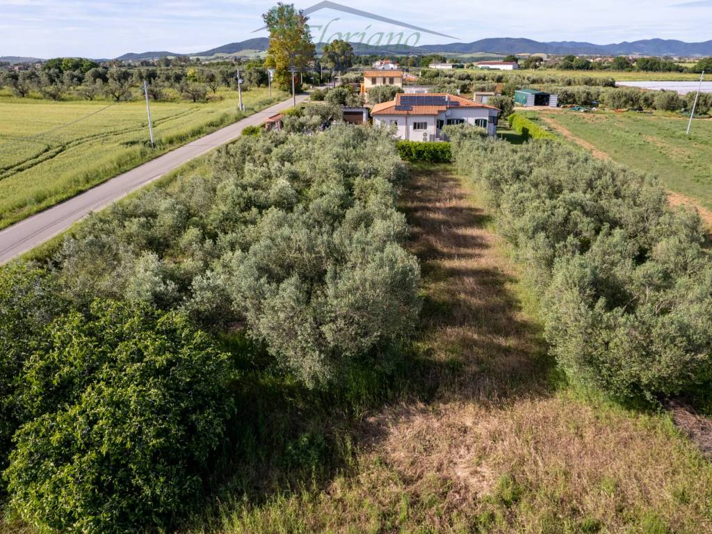 Villa a Montalto di castro in Strada della Percossa - Foto 2