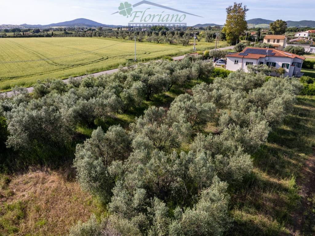 Villa a Montalto di castro in Strada della Percossa - Foto 3