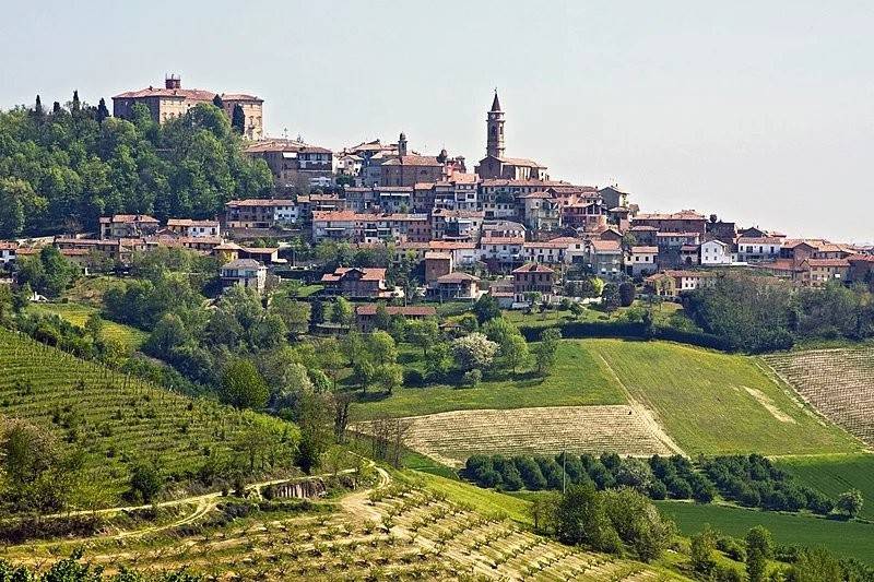 immagine di copertina