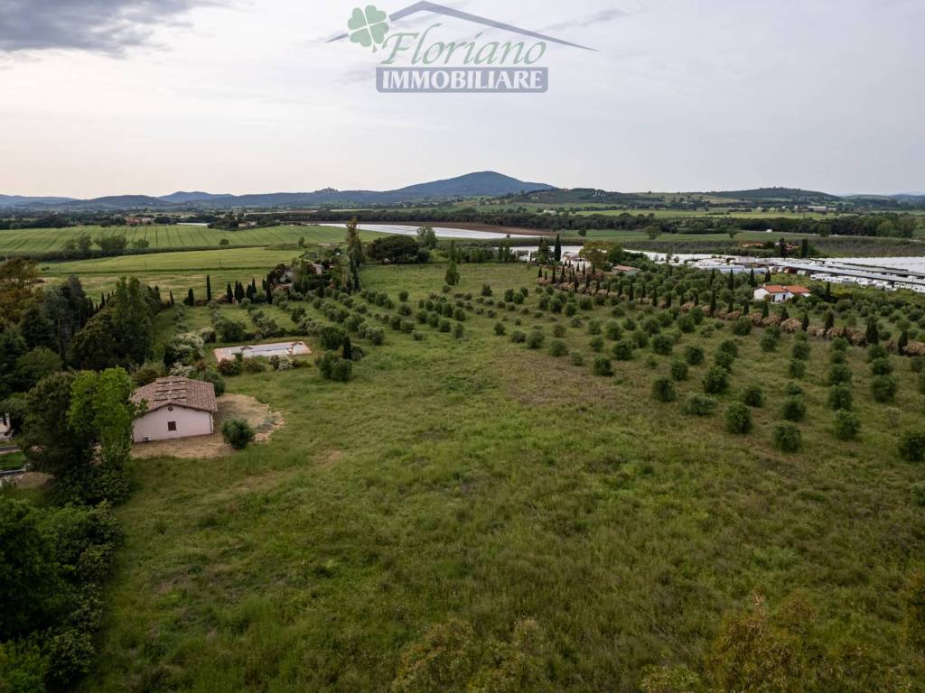 Villa a Montalto di castro in Località Il Tavolaro-Serpentaro - Foto 3