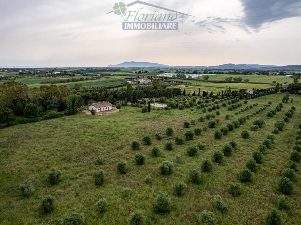 Villa a Montalto di castro in Località Il Tavolaro-Serpentaro - Foto 4