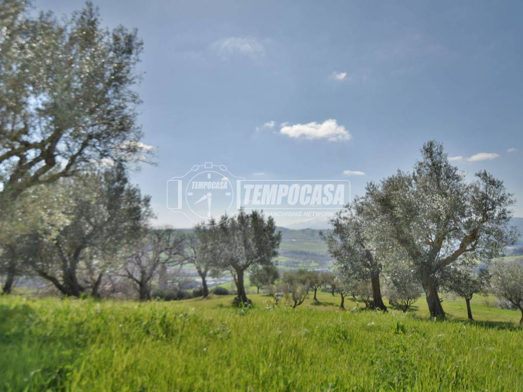 Appartamento a San severino marche in Località Pitino - Foto 5