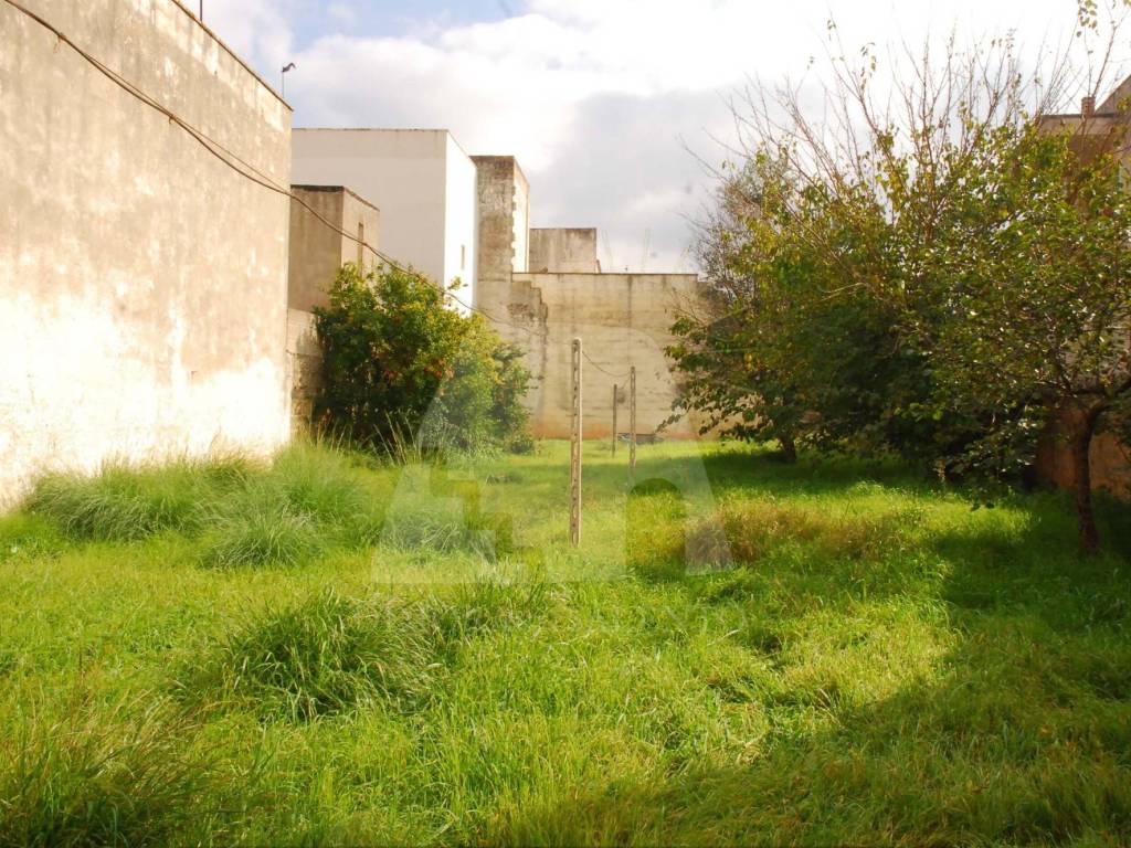 Casa indipendente a Ugento in Via Fontana, 92 - Foto 2
