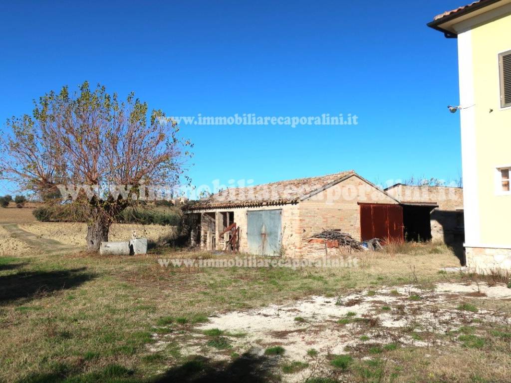 Rustico / casale a Recanati - Foto 5