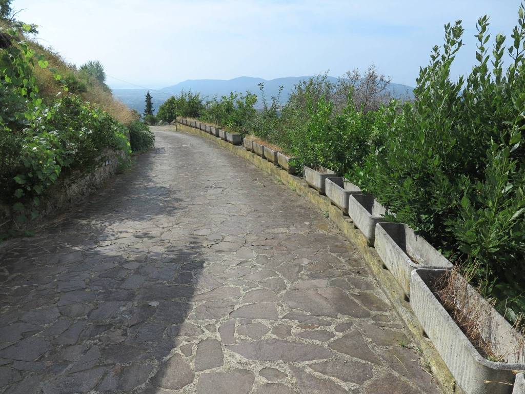 Villa a Sarzana in Via Prulla - Foto 5