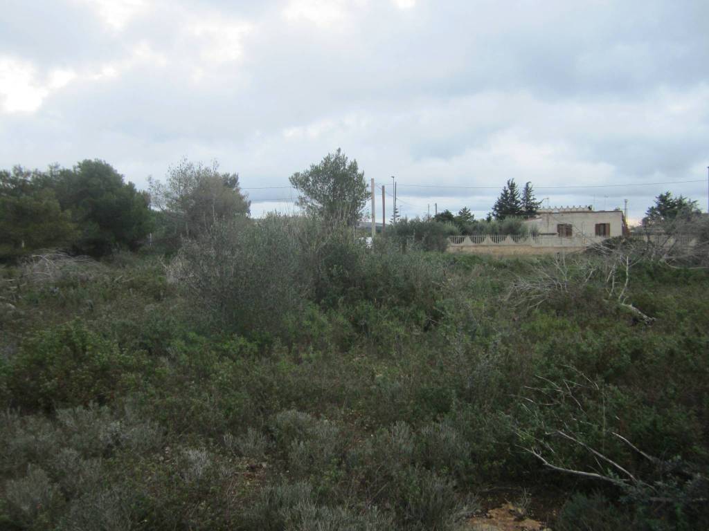 Terreno a Statte - Foto 2