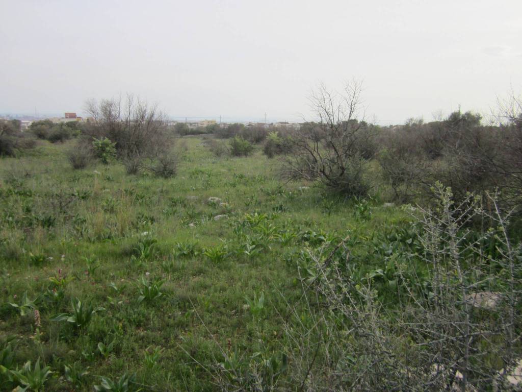 Terreno a Statte - Foto 3