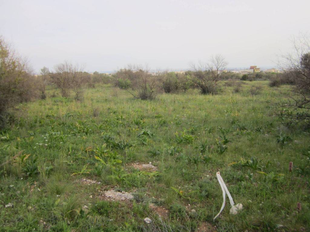Terreno a Statte - Foto 4