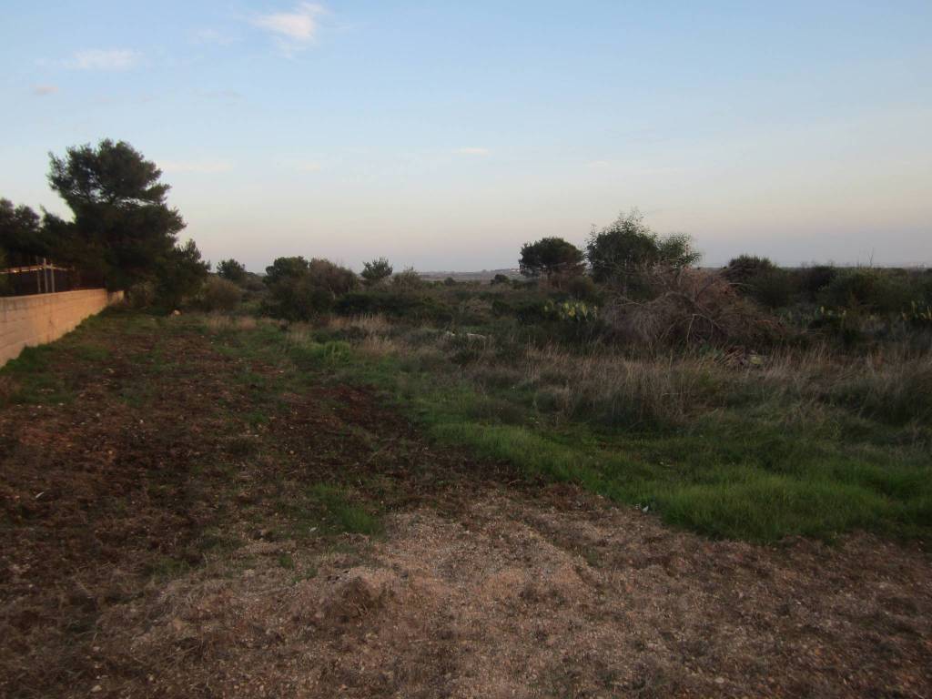 Terreno a Statte - Foto 5