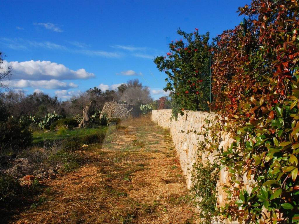 Rustico / casale a Patù in Strada Vicinale Macchie Carluccie - Foto 4