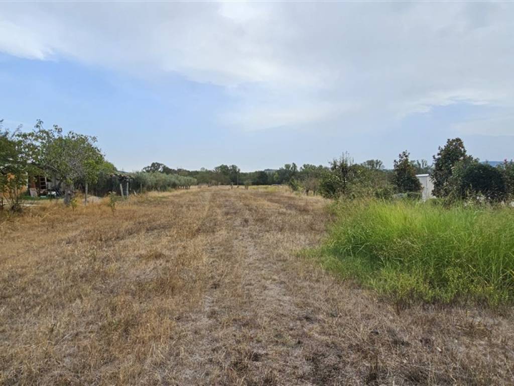 Terreno a Sant'eusanio del sangro in Contrada Castellata, 225 - Foto 5