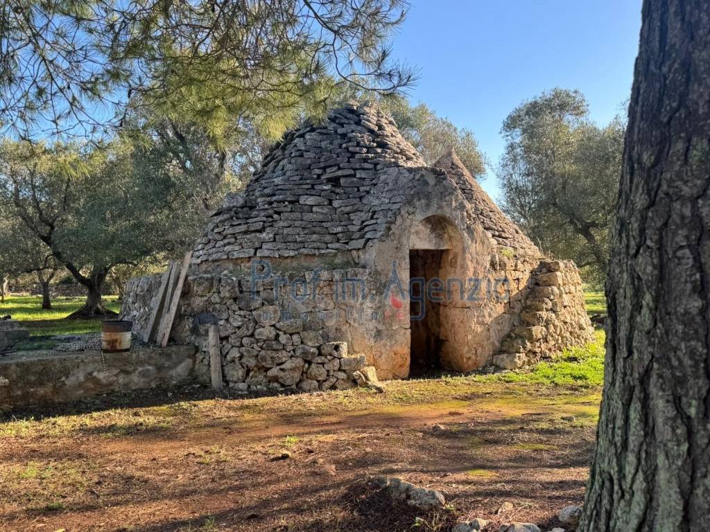 Rustico / casale a Ostuni - Foto 2