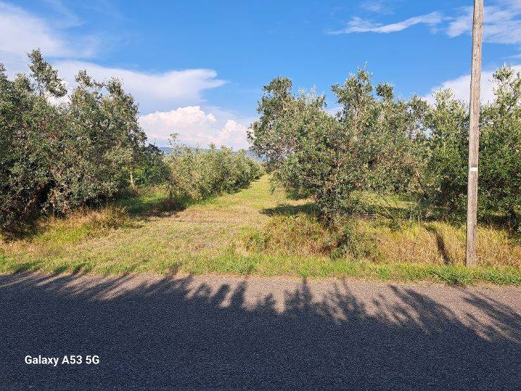 Terreno a Rosignano marittimo in Via Cason Vecchio - Foto 2