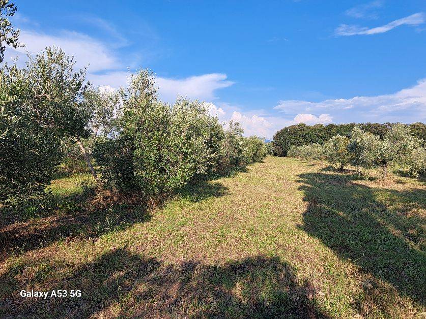 Terreno a Rosignano marittimo in Via Cason Vecchio - Foto 3