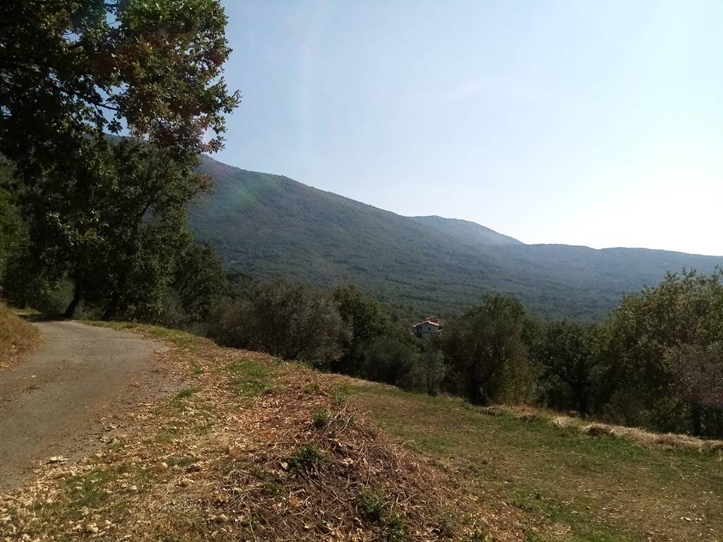 Rustico / casale a Veroli in Colle Grosso, 72 - Foto 4