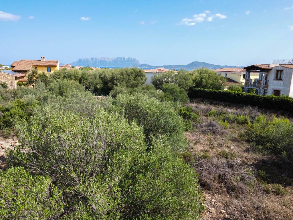 Villa a Olbia in Via del Dattero - Foto 5
