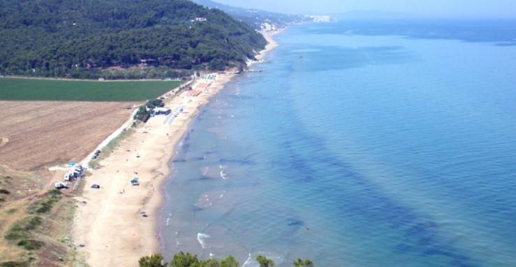 Terreno a Vico del gargano - Foto 3