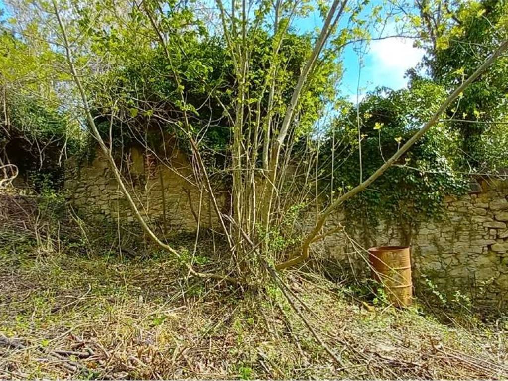 Rustico / casale a Sale delle langhe - Foto 4