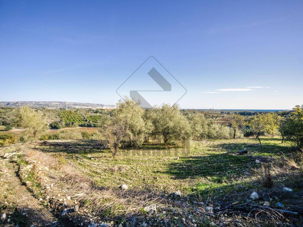 Terreno a Noto in Strada Statale Sud Occidentale Sicula - Foto 4