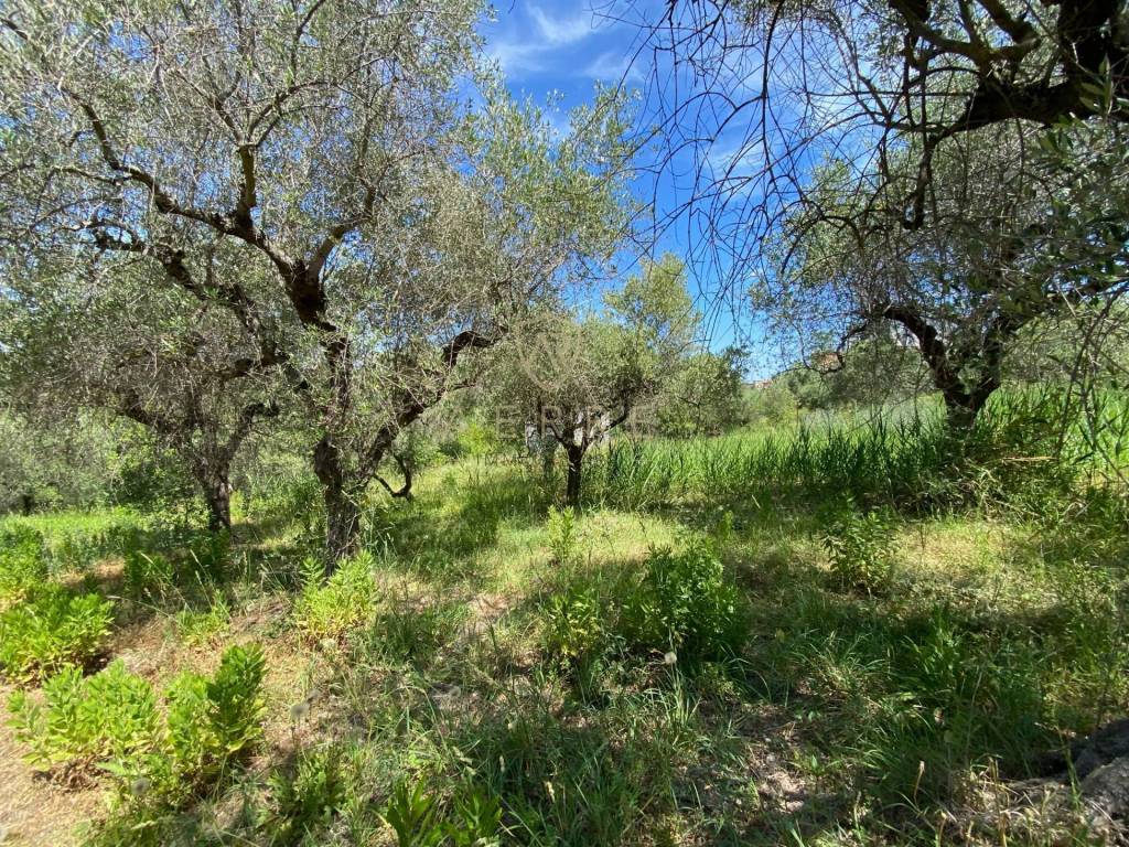 Terreno a Ortona in Ortona - Foto 5