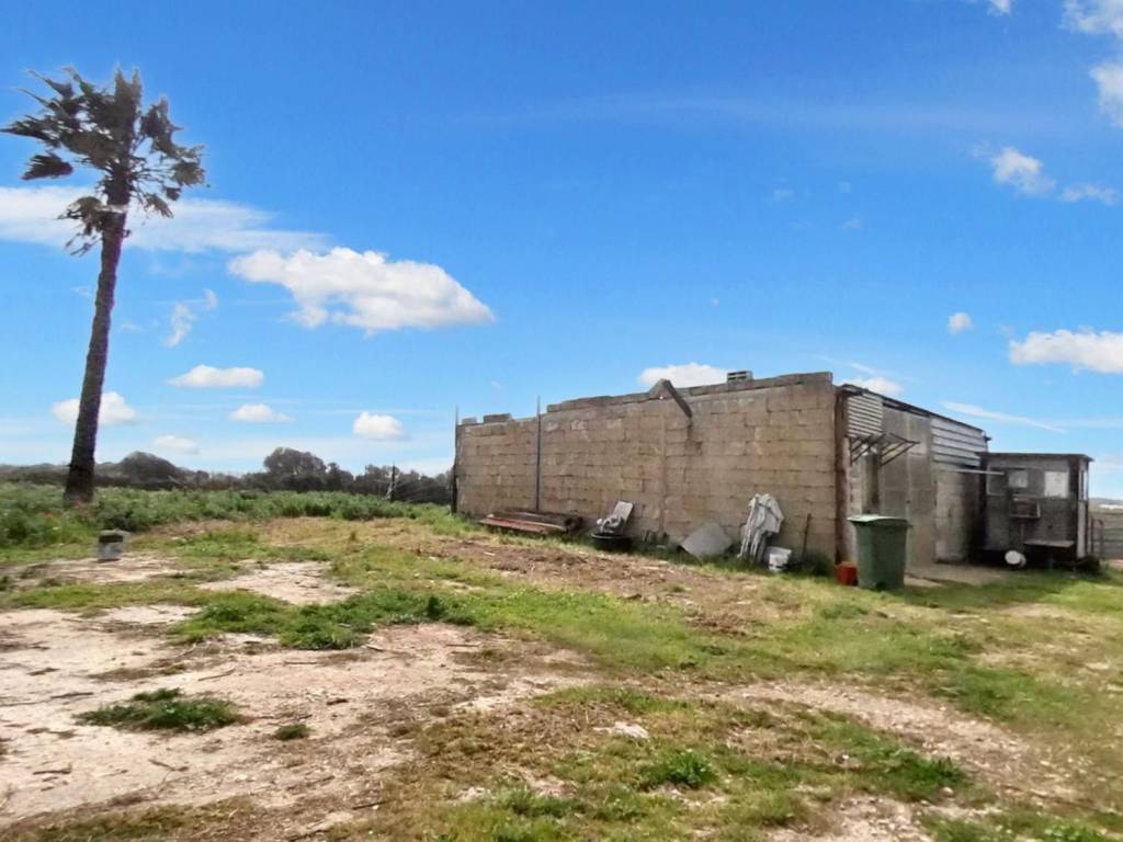 Terreno a Porto cesareo in Strada Provinciale 217, N. SNC - Foto 3