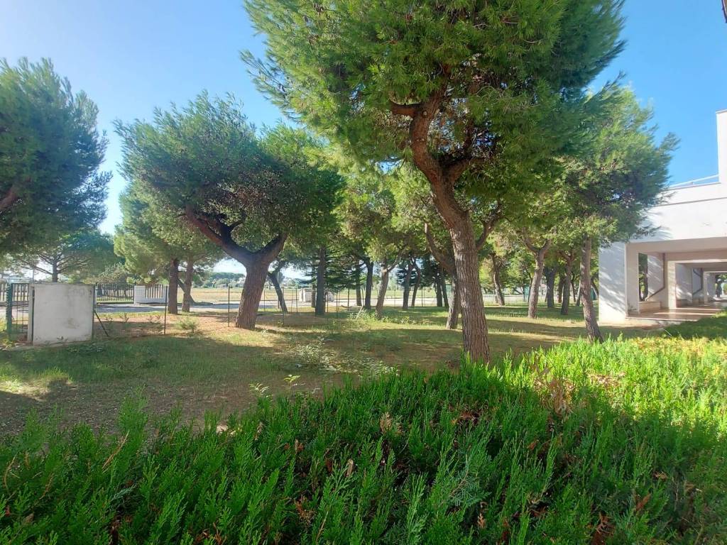 Appartamento a Manfredonia in Scalo Saraceni - Foto 5