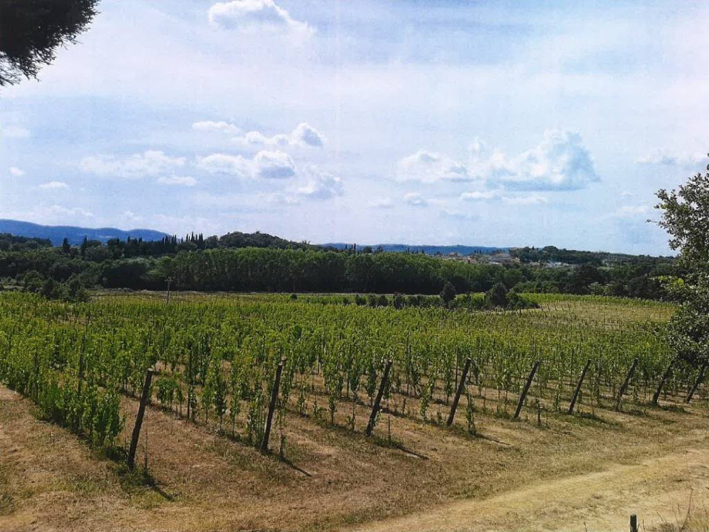 Terreno a Sinalunga - Foto 3