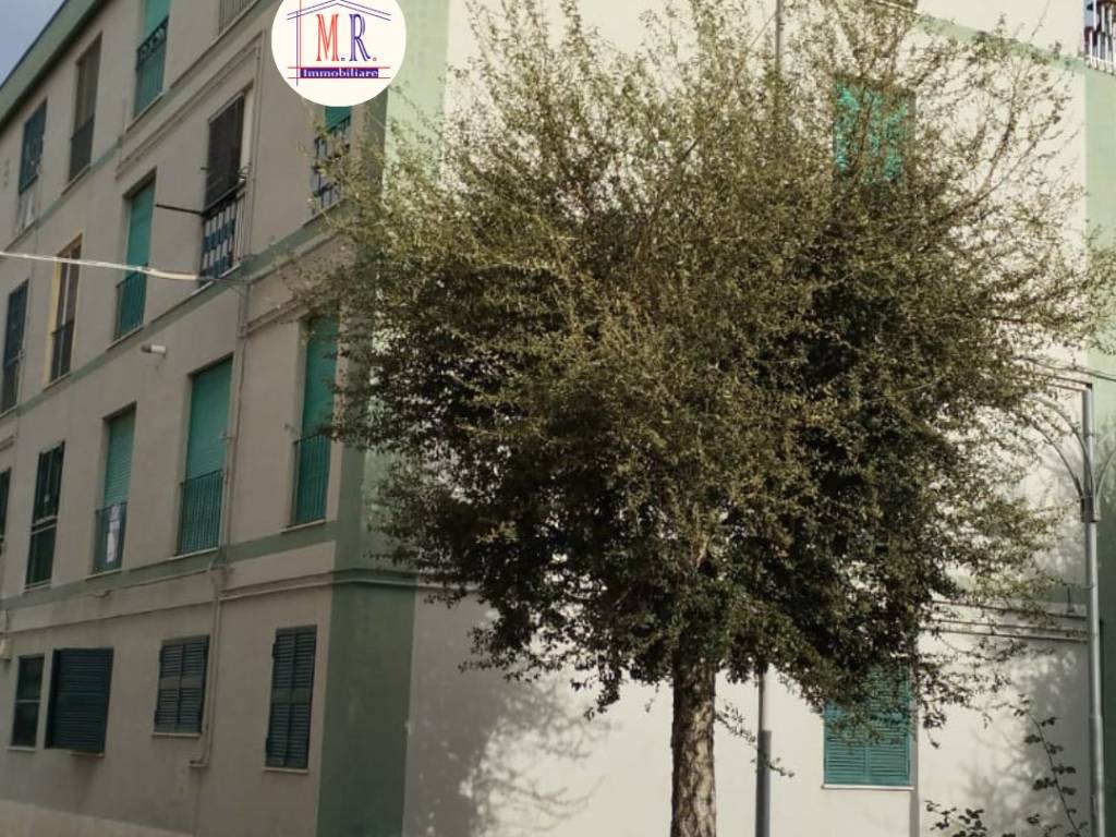 Palazzo / stabile a Cerignola in Via Rubicone, 4 - Foto 2