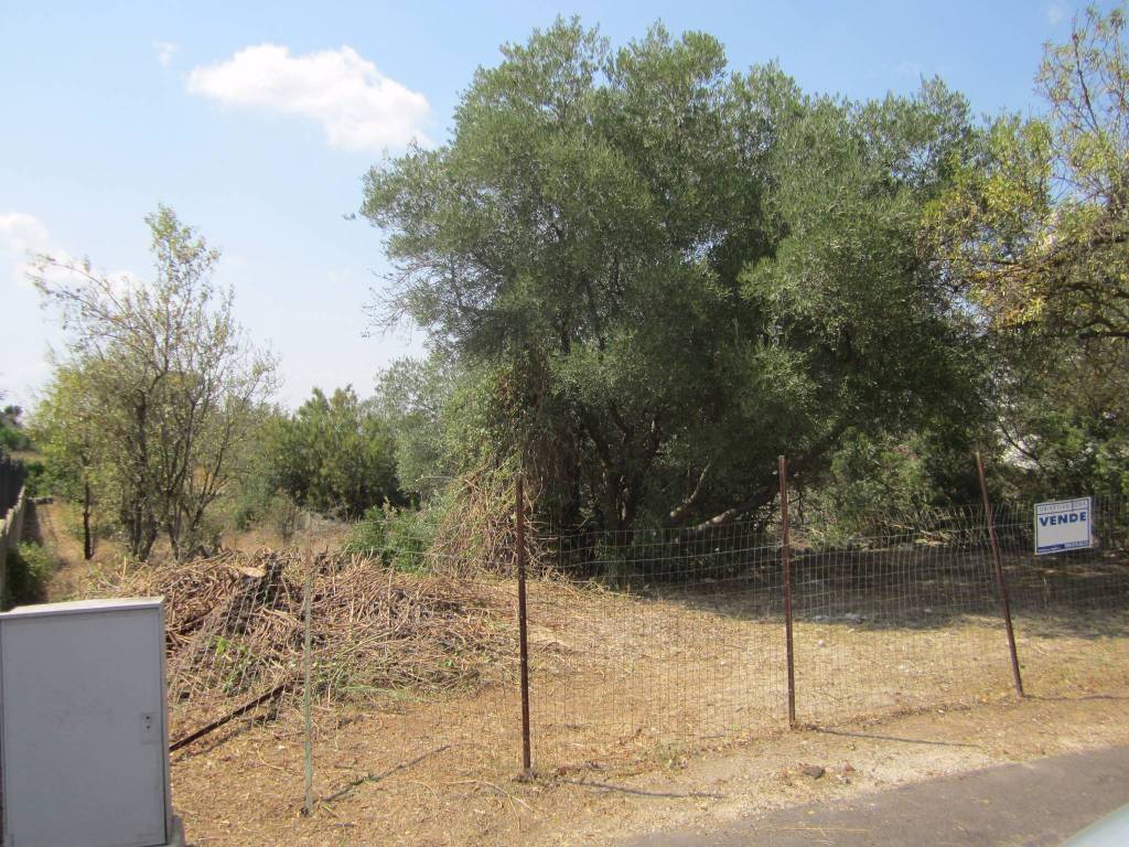 Terreno a Statte - Foto 4