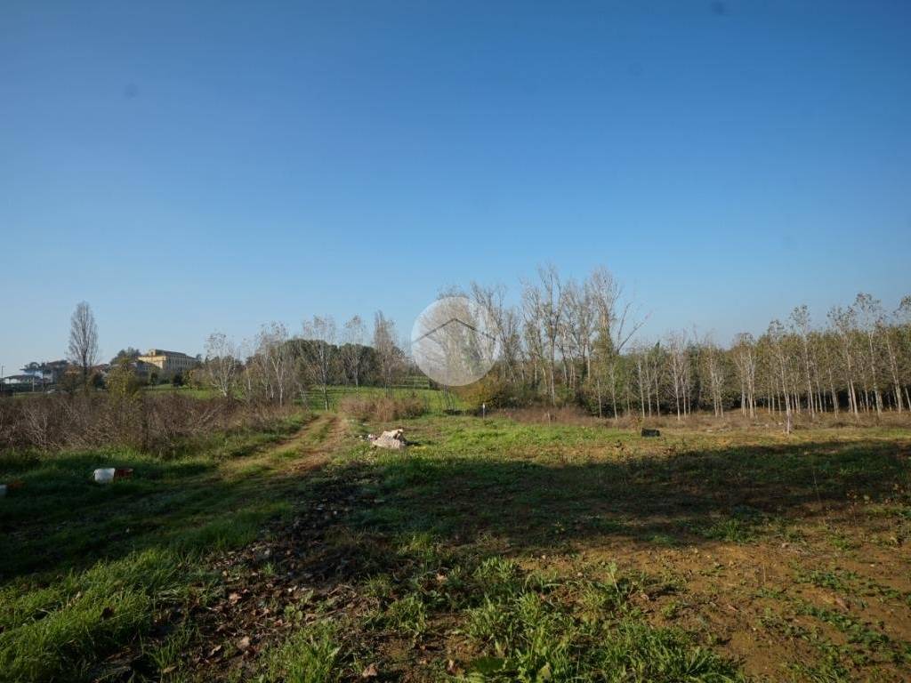Terreno a Nizza monferrato in Strada San Pietro - Foto 2