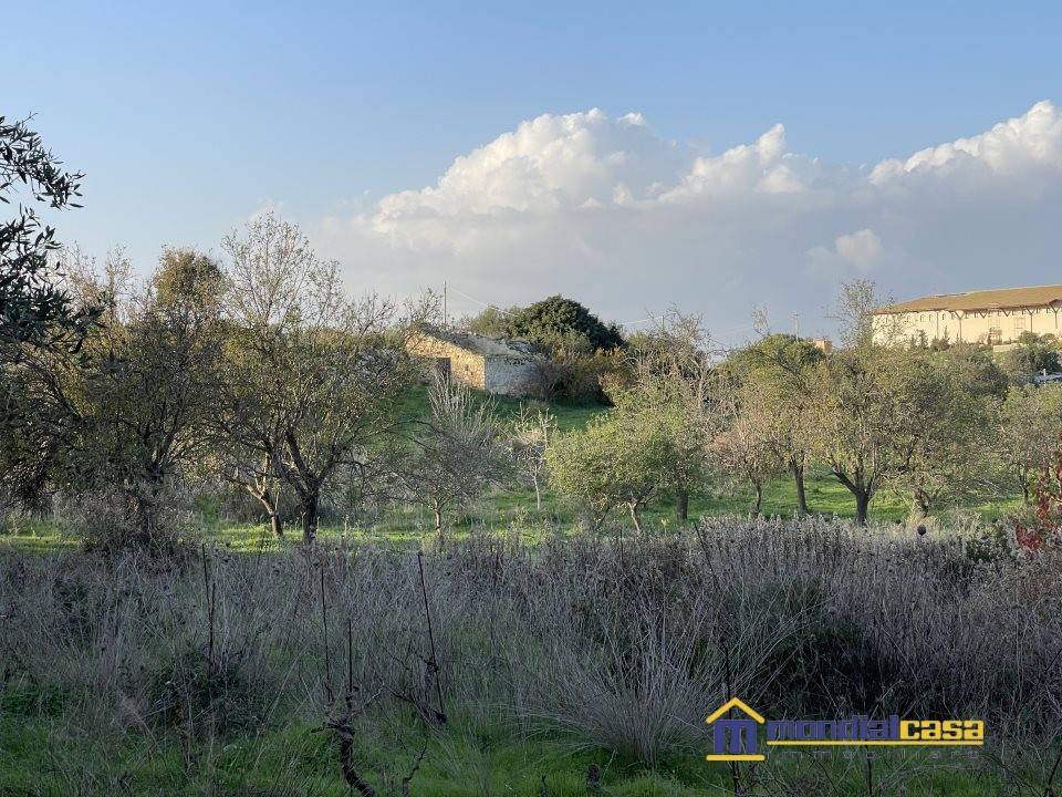 Terreno a Noto in c.da Sichilli - Foto 5