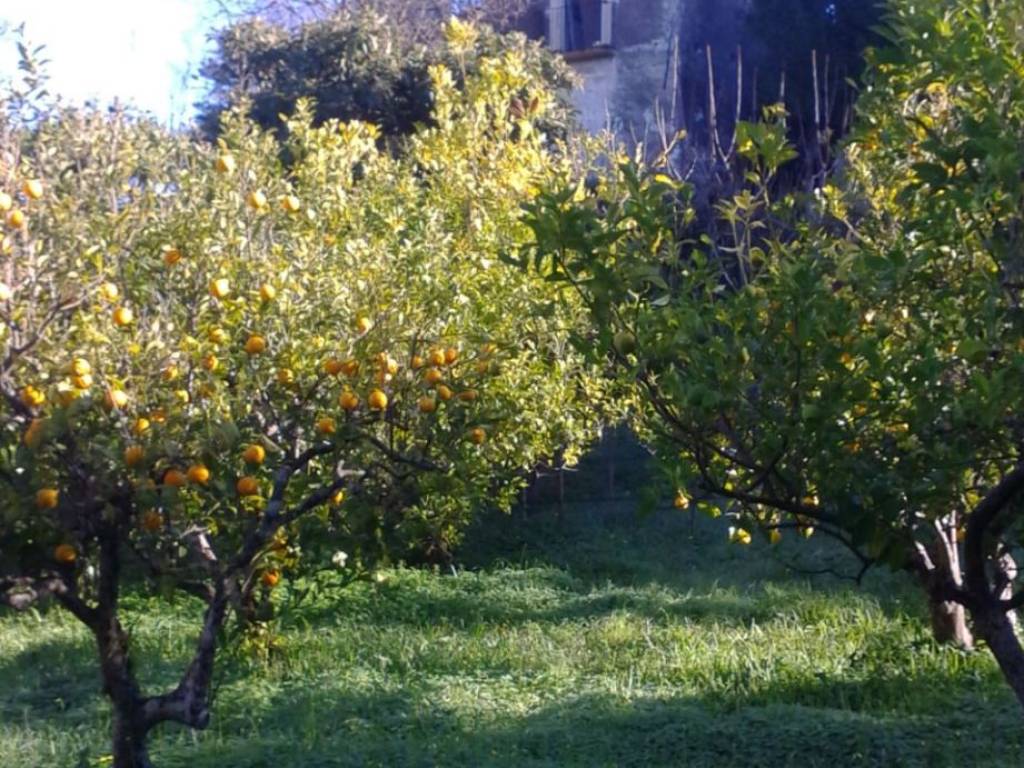 Rustico / casale a Rodi garganico in Contrada Mulino di Mare - Foto 3
