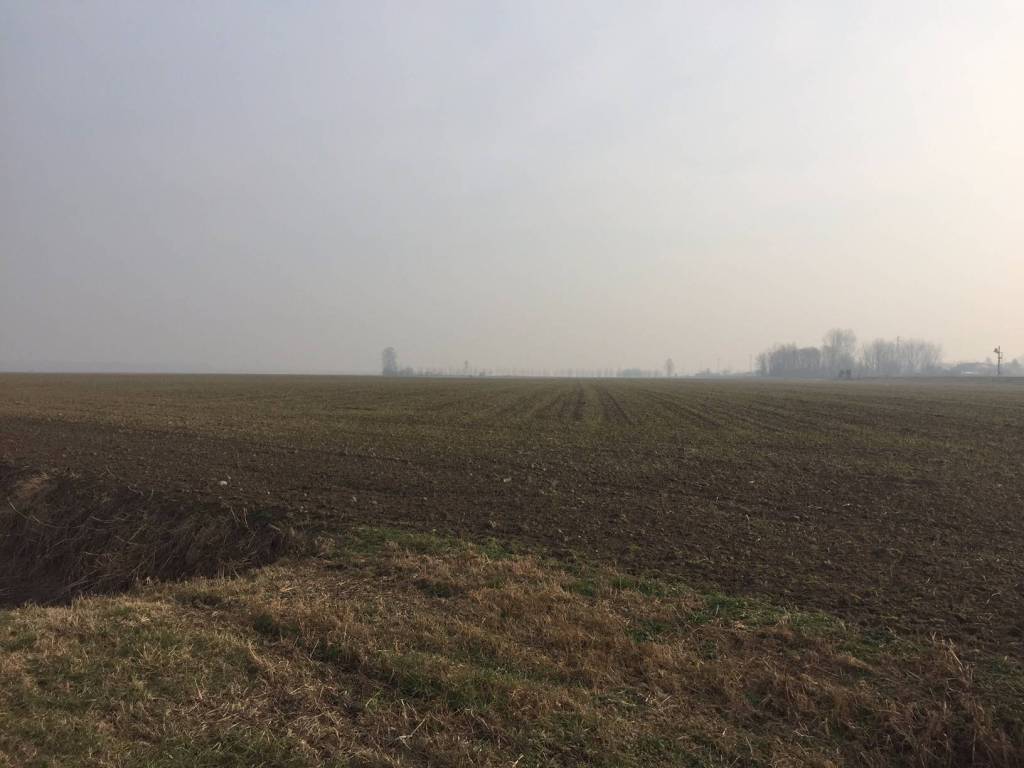 Terreno a Costa di rovigo - Foto 2
