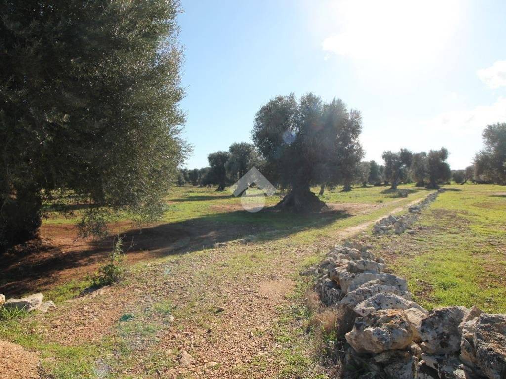 Rustico / casale a Ostuni - Foto 2