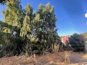 Terreno a Scano di montiferro in Via San Giorgio - Foto 3