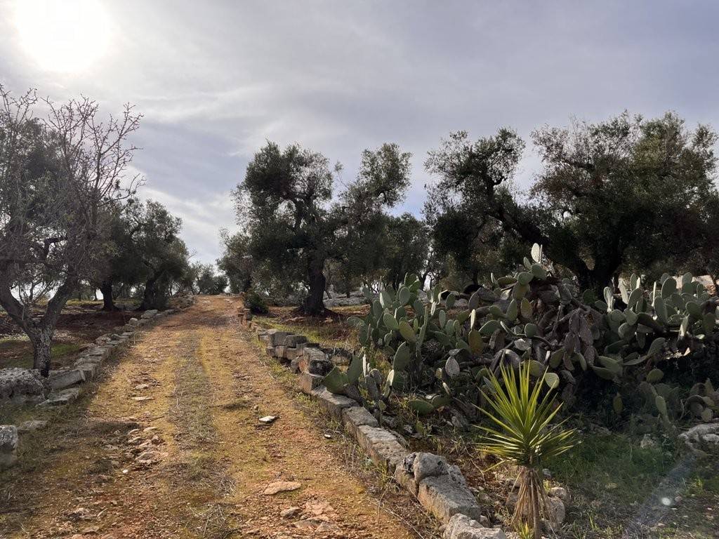 Terreno a Carovigno in Via Specchia - Foto 3