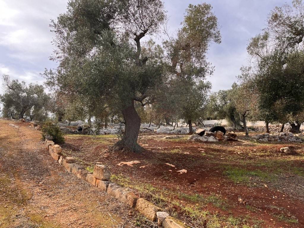 Terreno a Carovigno in Via Specchia - Foto 4
