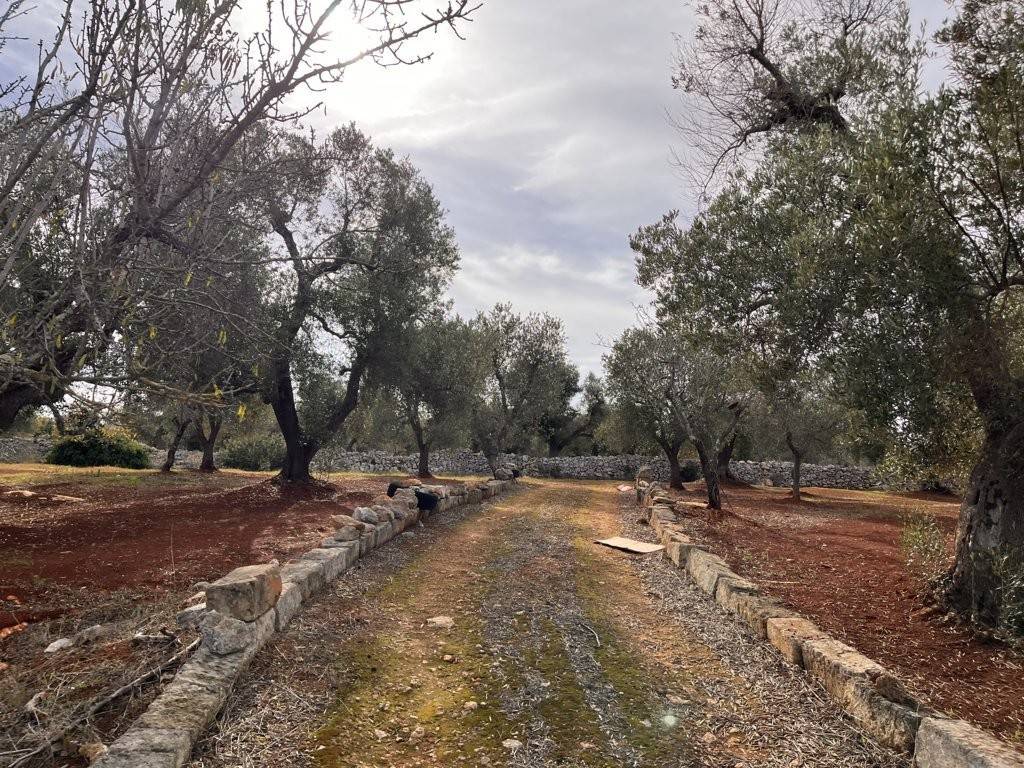 Terreno a Carovigno in Via Specchia - Foto 5