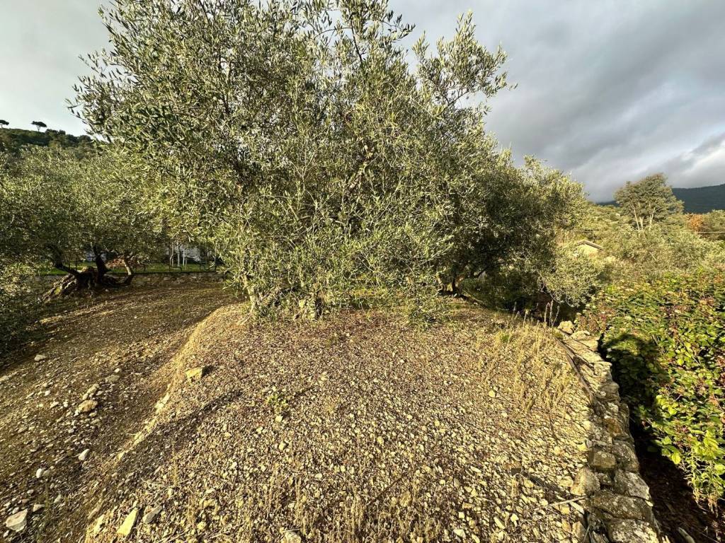 Villa a Vallebona - Foto 2
