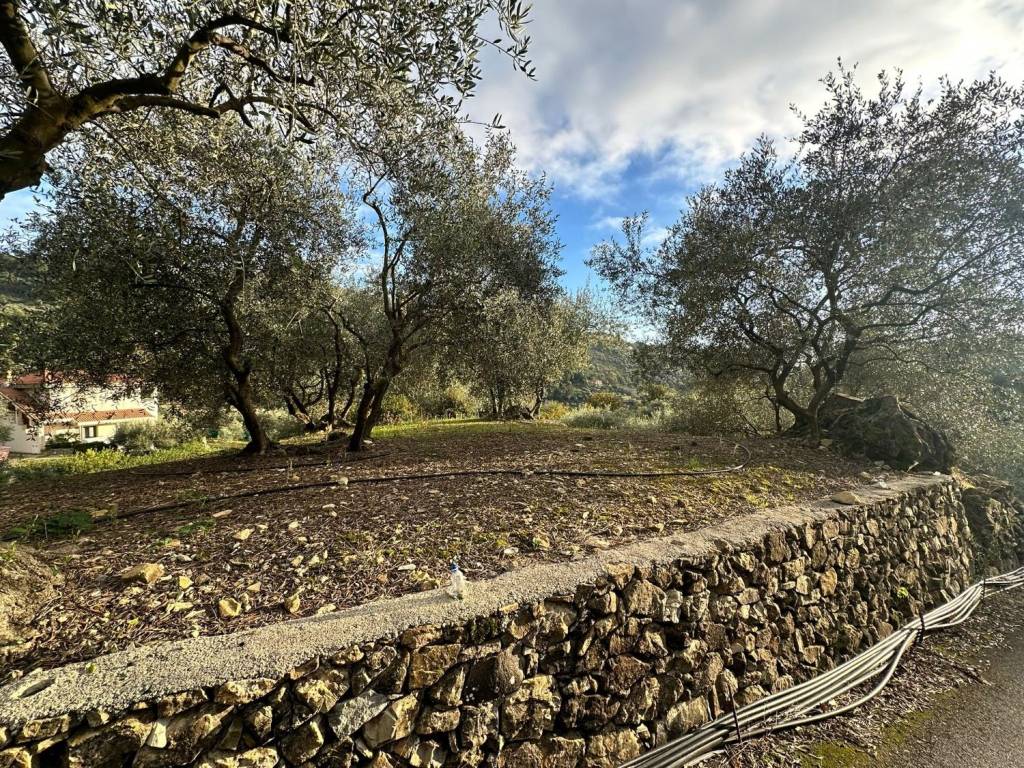 Villa a Vallebona - Foto 3