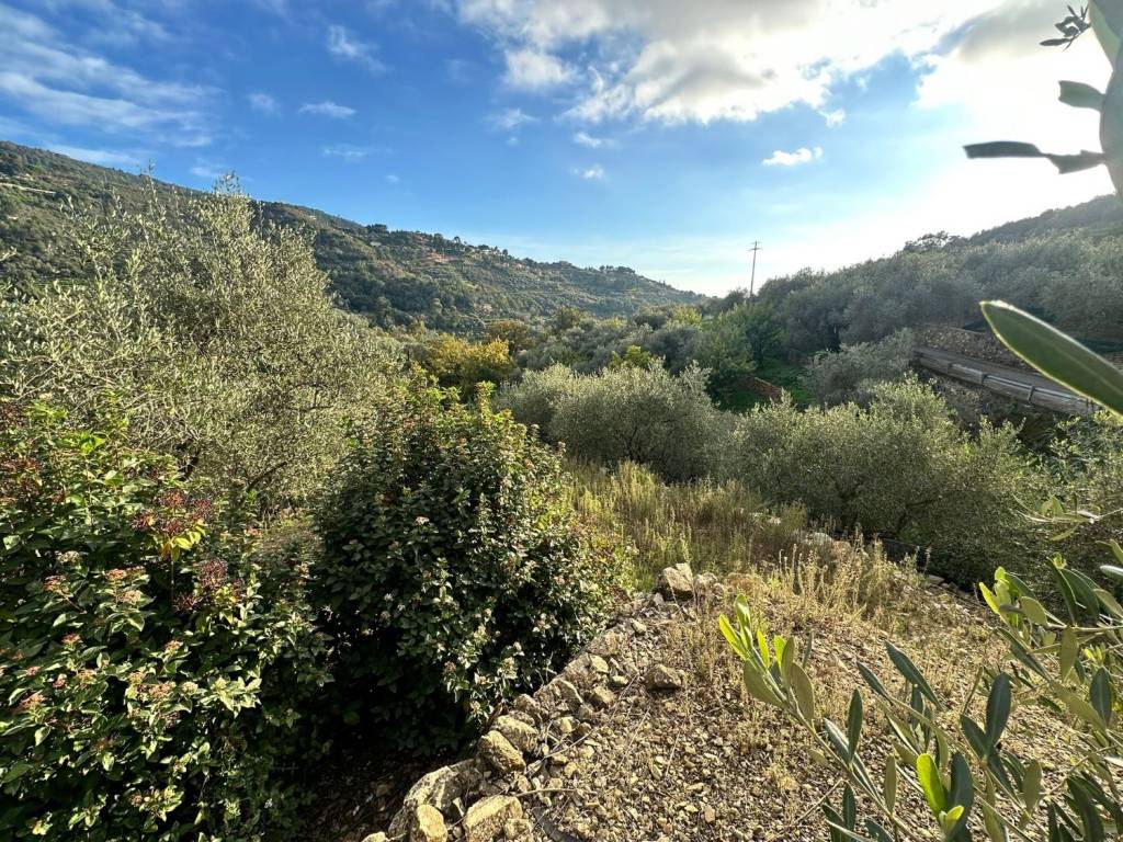 Villa a Vallebona - Foto 5