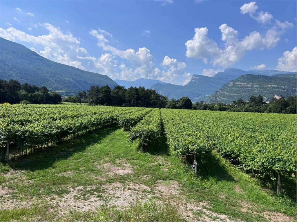Terreno a Rovereto - Foto 3