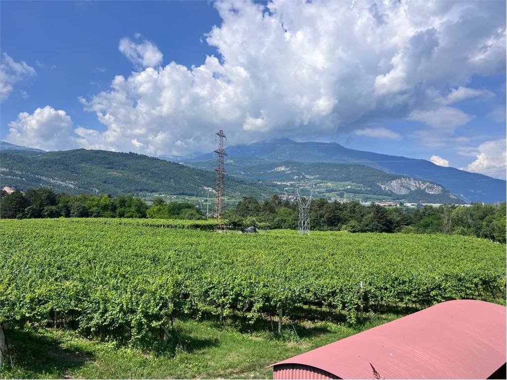 Terreno a Rovereto - Foto 4