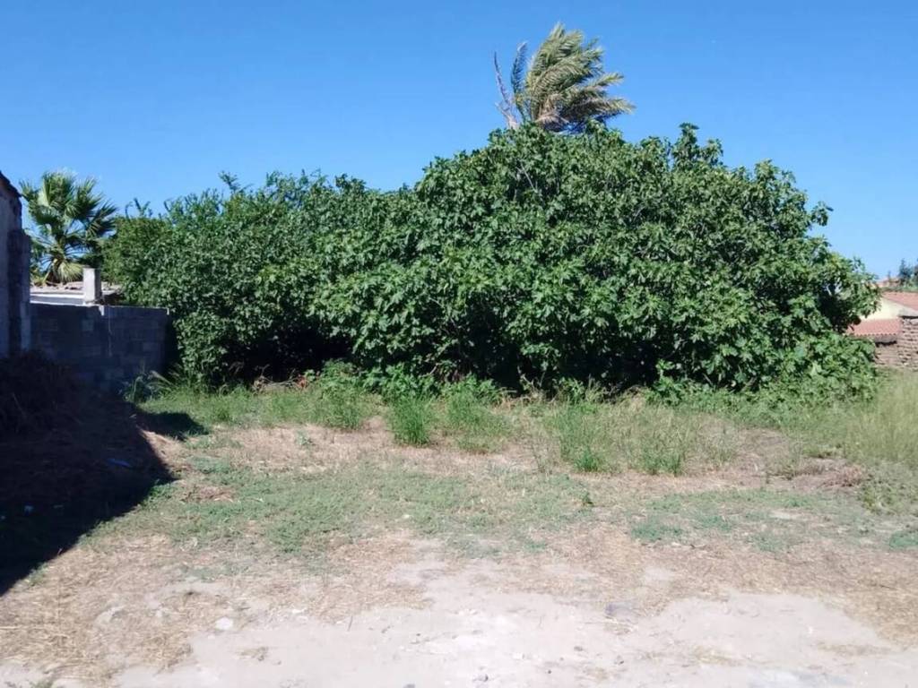Terreno a Riola sardo - Foto 2