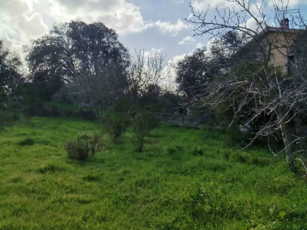 Terreno a Oristano - Foto 2